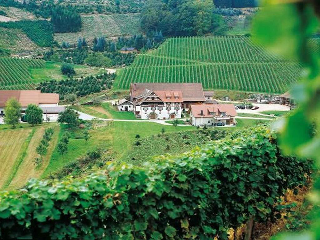 Apartamento Weingut Alfred Huber Durbach Exterior foto