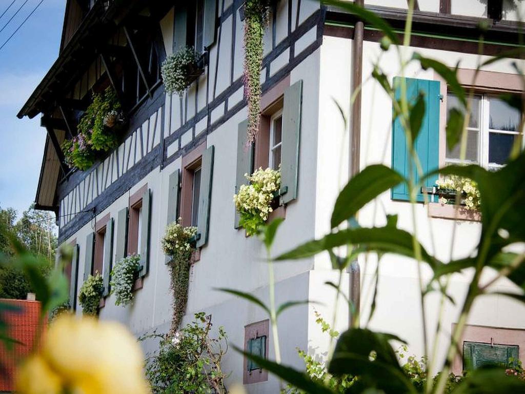 Apartamento Weingut Alfred Huber Durbach Exterior foto